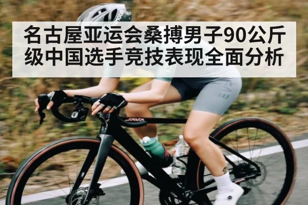 名古屋亚运会桑搏男子90公斤级中国选手竞技表现全面分析